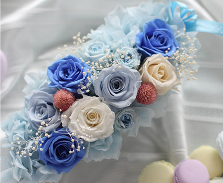 アンジェリコフィオーレ フリースタイルレッスン